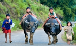 Day Trips & Short Breaks